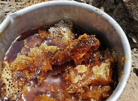 تصویر 3 از قیمت خرید عسل کوهستانی با فروش عمده